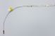 LED лента RISHANG 60-2835-12V-IP20 6W 535Lm 6000K 5м (RD0860TA-B-PW) RD0860TA-B-W фото 5