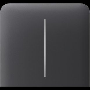 Бічна кнопка для двоклавішного вимикача Ajax SideButton (2-gang) vertical Graphite 00000005073 фото