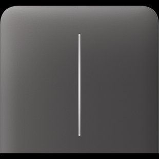 Бічна кнопка для двоклавішного вимикача Ajax SideButton (2-gang) vertical Grey 00000005074 фото