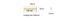 LED лента COLORS 256-2835-24V-IP20 34W 4800Lm 4000K 2.5м (DS8256-24V-12mm-NW) DS8256-24V-12mm-NW фото 2