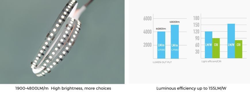 LED лента COLORS 256-2835-24V-IP20 34W 4800Lm 4000K 2.5м (DS8256-24V-12mm-NW) DS8256-24V-12mm-NW фото