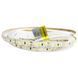 LED лента RISHANG 120-2835-12V-IP33 9.6W Blue 5м (RD08C0TA-B-B) RD08C0TA-B-B фото 3
