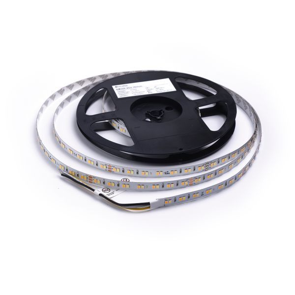 LED стрічка COLORS 140-2835-24V-IP20 17.1W 1710Lm 2700/6000K 5м (D8140SWW-24V-10mm) D8140SWW-24V-10mm фото