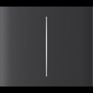 Центральна кнопка для двоклавішного вимикача Ajax CenterButton (2-gang) vertical Graphite 00000005143 фото