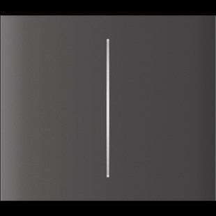 Центральна кнопка для двоклавішного вимикача Ajax CenterButton (2-gang) vertical Grey 00000005144 фото