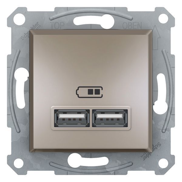 Розетка USB подвійна Asfora Бронза EPH2700269 фото