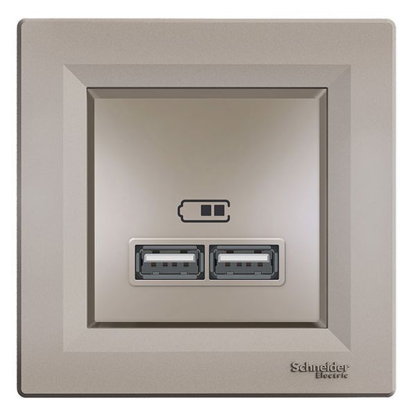 USB -гнездо двойная бронза Asfora EPH2700269 фото