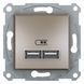 Розетка USB подвійна Asfora Бронза EPH2700269 фото 2