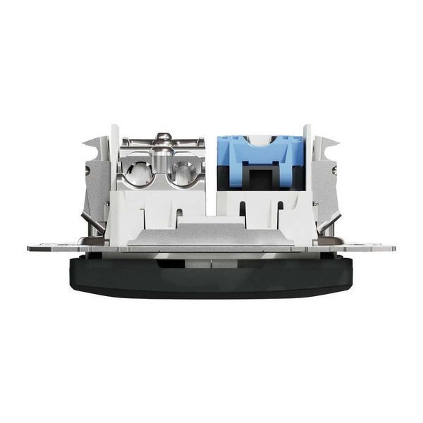 Розетка RJ45 категорія 6 UTP -TV Чорний Sedna Design SDD114469T фото
