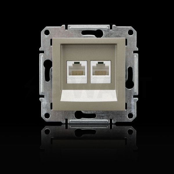 Розетка компьютерна 2-ная. RJ45 кат.5е UTP Asfora Бронза EPH4400169 фото