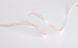 LED лента COLORS 196-2835-24V-IP20 18.9W 2100Lm 3000K 5м (D8196-24V-15mm) D8196-24V-15mm-WW фото 1