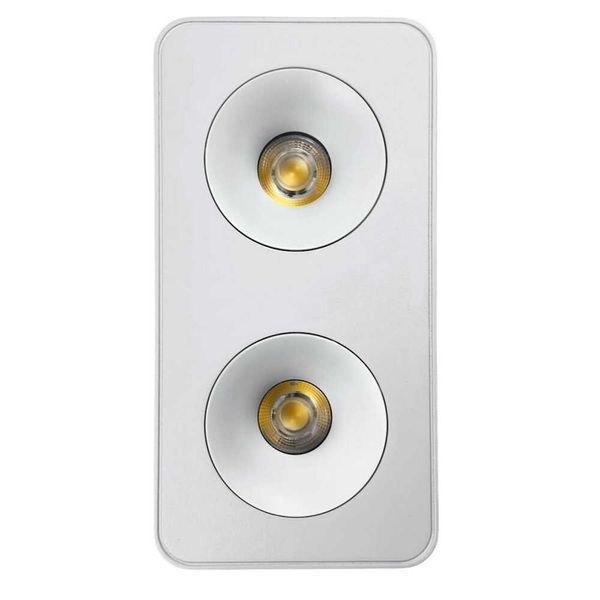 Cвітильник точковий накладний SIDNEY-2L 20W 4000K IP20 білий Violux 330461 фото