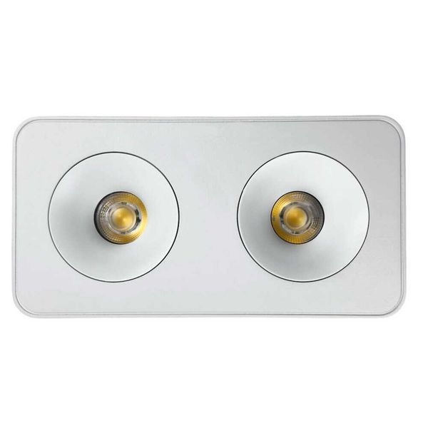 Cвітильник точковий накладний SIDNEY-2L 20W 4000K IP20 білий Violux 330461 фото