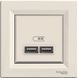 Розетка USB подвійна Schneider Electric Asfora Крем EPH2700223 фото 1