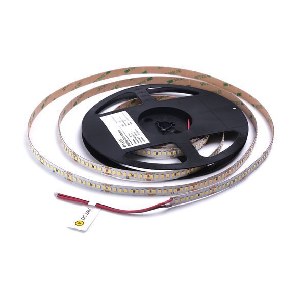 LED стрічка COLORS 192-2835-24V-IP20 16W 2480Lm 5000K 5м (D8192-24V-10mm-DW) D8192-24V-10mm-DW фото