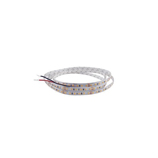 LED лента RISHANG 120-2835-24V-IP20 9.6W 1050Lm 4000K 50м (RV08C0TC-A-NW_50) RV08C0TC-A-NW_50 фото