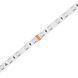 LED стрічка COLORS 60-5050-24V-IP20 14,4W 430Lm RGB 5м (DJ60RGB-24V-10mm) DJ60RGB-24V-10mm фото 1