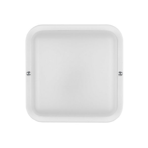 Світильник LED Violux ДББ POLO UA 12W 5000K IP54 243431 фото
