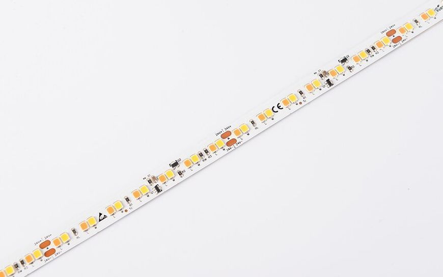LED стрічка COLORS 168-2835-24V-IP20 13.5W 580Lm 1900K+3000K 5м (DS8168GWWW-24V-10mm) DS8168GWWW-24V-10mm фото
