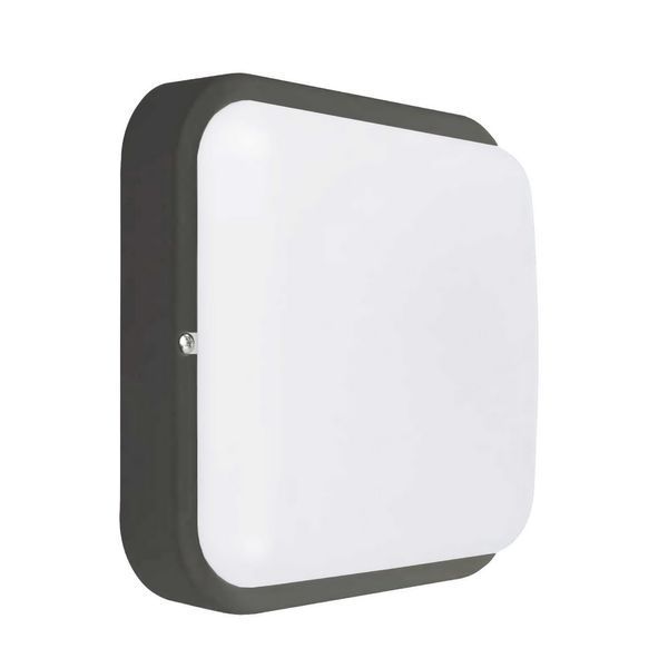 Світильник LED Violux ДББ POLO UA антрацит 18W 5000K IP54 243453 фото