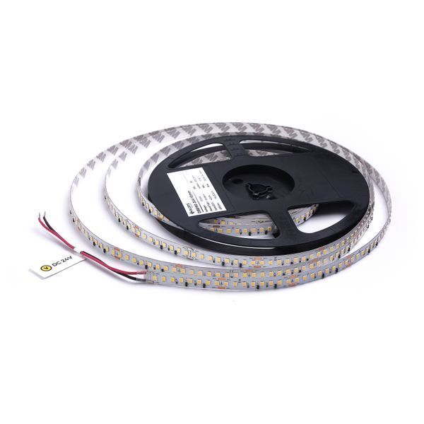LED лента COLORS 160-2835-24V-IP20 16.4W 2500Lm 4000K 5м (DS8160-24V-10mm-NW) DS8160-24V-10mm-NW фото